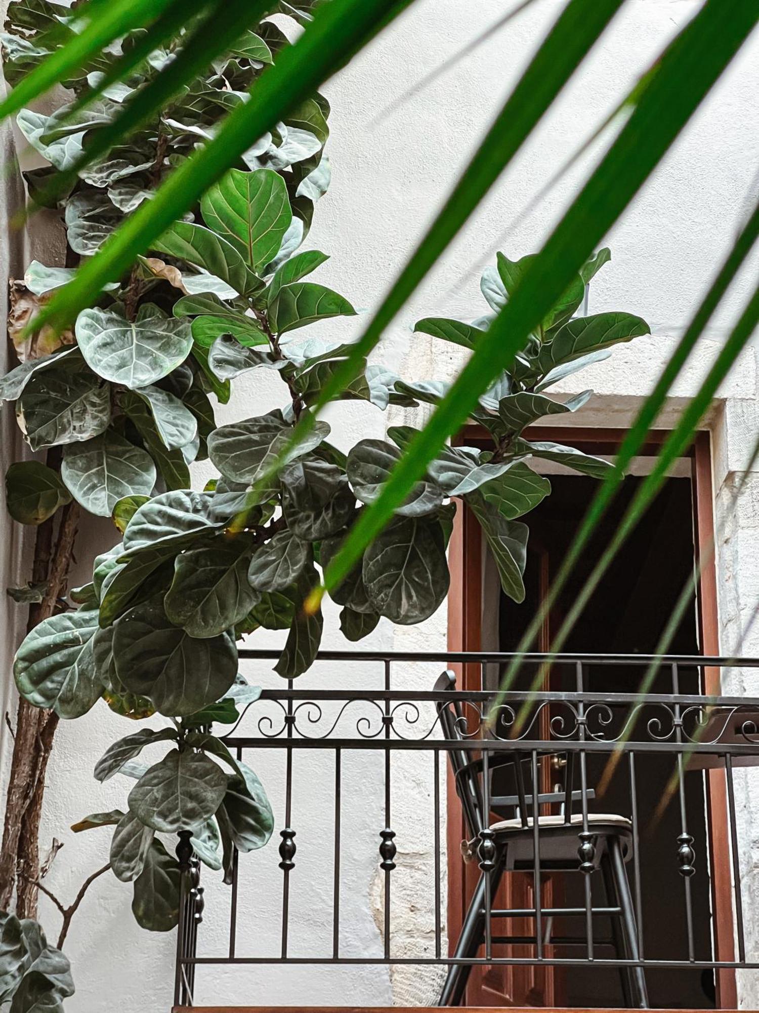 Hotel Casa Dei Delfini Rethymno Exteriér fotografie