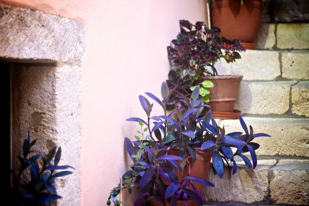 Hotel Casa Dei Delfini Rethymno Exteriér fotografie